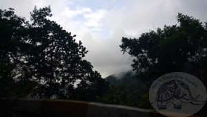 mountain drive from choroni to maracay venezuela