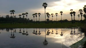 quiet countryside along the roud to southern thailand