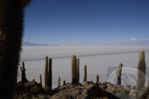 a rocky island in the salt